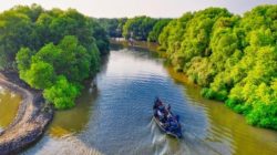 Survei CNN Terkini Dukungan Masyarakat Banten dan Jakarta Terkait Pengembangan Ecowisata Green Coastland