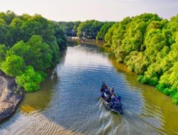 Survei CNN Terkini Dukungan Masyarakat Banten dan Jakarta Terkait Pengembangan Ecowisata Green Coastland