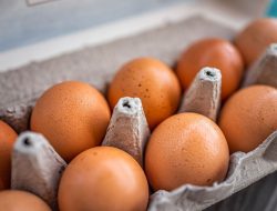 Tak Masuk Pada Menu Makan Bergizi, Hari Ini Harga Telur Turun Drastis