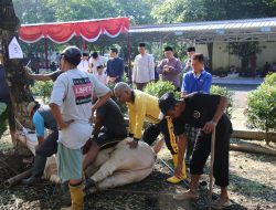 Polresta Magelang laksanakan Sholat Idul Adha bersama dan Sembelih Hewan Kurban, Wujudkan Kepedulian Sosial dan Ketakwaan