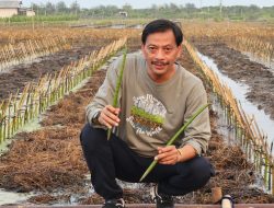 Ketua Green Mangrove Kelik Wirawan : Green Mangrove, Aksi Mitigasi dan Adaptasi Perubahan Iklim Bersama Masyarakat di Pemalang