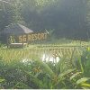 5G Resort Cijeruk, Destinasi Favorit Akhir Pekan Dengan Nuansa Teduh Nan Modern