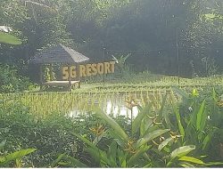 5G Resort Cijeruk, Destinasi Favorit Akhir Pekan Dengan Nuansa Teduh Nan Modern