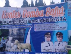 Kontes Domba Batur 2025 Piala Bupati Banjarnegara