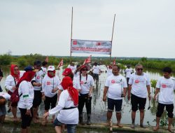 PKN Rayain 17-an Bukan Dengan Balap Karung, Tapi Nanem Mangrove!