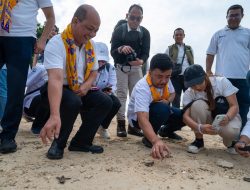 MelepasTukik Penyu Sisik ke Habitatnya di Pulau Bidadari: “Seribu Tukik Sejuta Harapan”