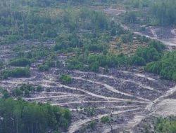 Aktivis Lingkungan Ditahan, Polisi Rote Ndao Diduga Langgar Konstitusi