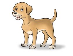 “Anjing” di PBB: Ketika Prabowo Mengguncang Dunia dengan Sarkasme dan Solidaritas