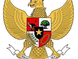 PANITIA SELEKSI CALON ANGGOTA DEWAN PENGAWAS DAN CALON ANGGOTA DIREKSI BADAN PENYELENGGARA JAMINAN SOSIAL KESEHATAN DAN BADAN PENYELENGGARA JAMINAN SOSIAL KETENAGAKERJAAN