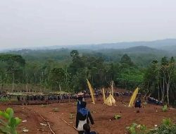 Dari Hutan untuk Rakyat, Bukan untuk Investor — MK Cabut Kekangan Perizinan!