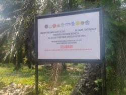 Plang Satgas PKH di Sungai Daun: Penertiban atau Tebang Pilih? Salah Satu Lahan H. Priaman Tak Tersentuh 