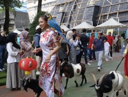 Samudera Ancol Gelar Parade Animal