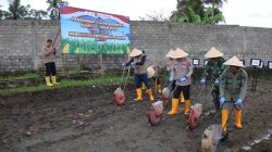 Polresta Magelang Dukung Swasembada Pangan Melalui Penanaman Jagung Serentak Kuartal I Tahun 2026 di Muntilan
