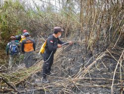 Gerak Cepat Polsek Srumbung dan Petugas Gabungan Padamkan Kebakaran Lahan di Lereng Merapi