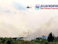 Komandan Lanud Sjamsudin Noor Dampingi Pangkodau II Tinjau Langsung Penanggulangan Karhutla di Kalimantan Selatan