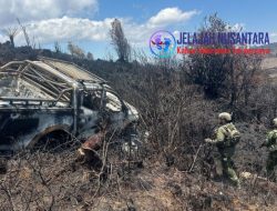 Sopir Angkutan Masyarakat Tewas Ditangan OPM, Apa Tindakan TNI ?