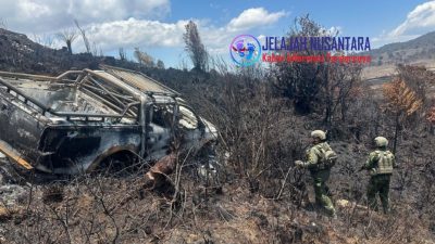Sopir Angkutan Masyarakat Tewas Ditangan OPM, Apa Tindakan TNI ?