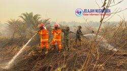 TNI Perkuat Penanganan Karhutla Sektor Selatan Kalbar